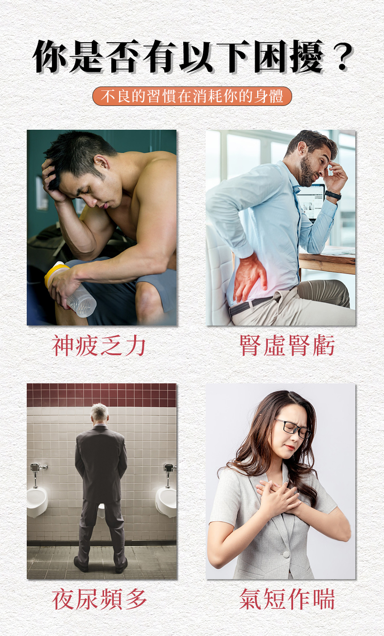 明心堂海狗丸(圖2)